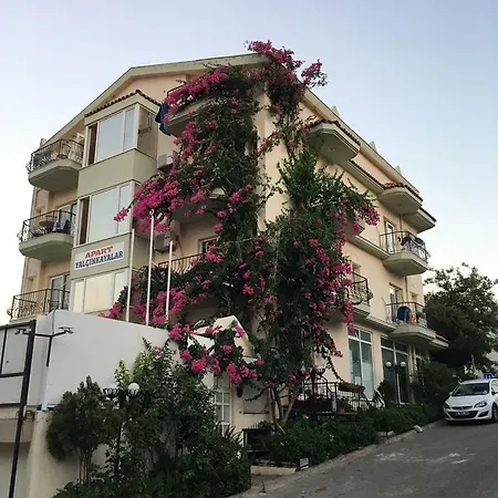 Yalcinkayalar *